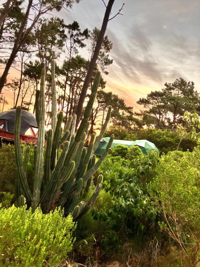 Отель Domosdemar A 100 Mts Del Mar Ocean Park Экстерьер фото