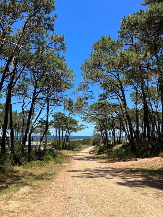 Отель Domosdemar A 100 Mts Del Mar Ocean Park Экстерьер фото